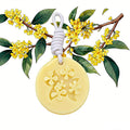Aromatherapy wax tablets, embossed fragrance hangings, wardrobe, bedroom, car deodorizing, long-lasting fragrance
