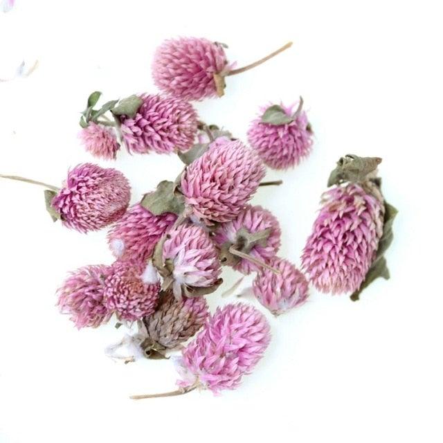 Natural Gypsophila Dried Flowers Mini Babysbreath Flower Preserve Floral  Decor Bouquet Wedding Party Home Backdrop Decor 12cm